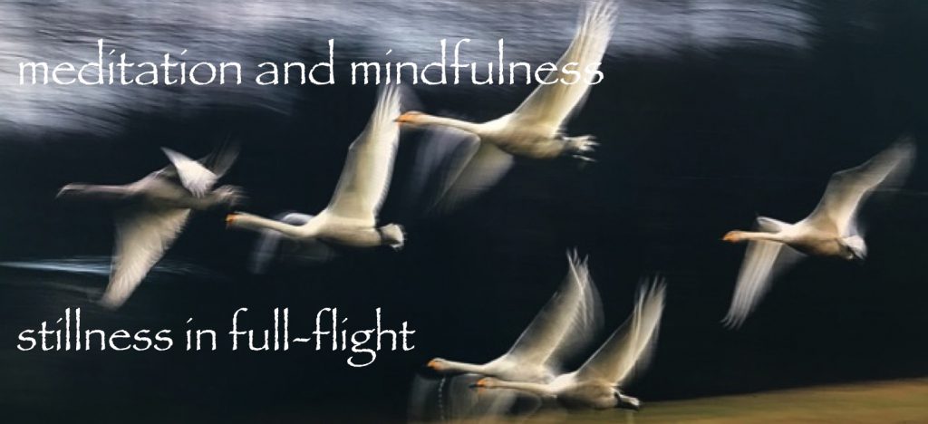 Meditation and Mindfulness learning stillness while in full flight